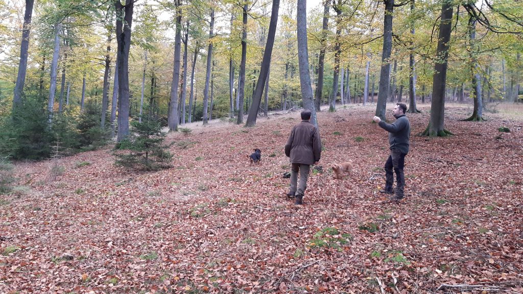 Freiwillige bei der Eichensaat im Spessart