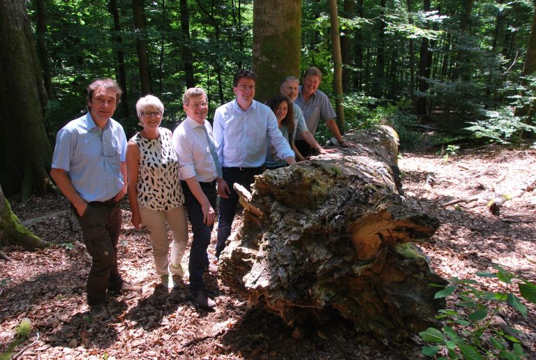 Gemeinsame Waldbegehung des Vereins